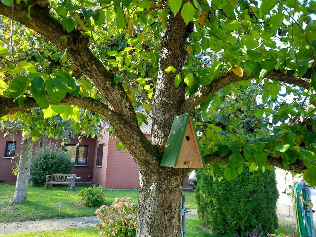 Das Kleine, Gemuetliche Ferienhaus Ludorf Dış mekan fotoğraf